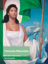 Featured image of post Paco El Chato Quinto Grado Ciencias Naturales Libros de quinto grado de primaria